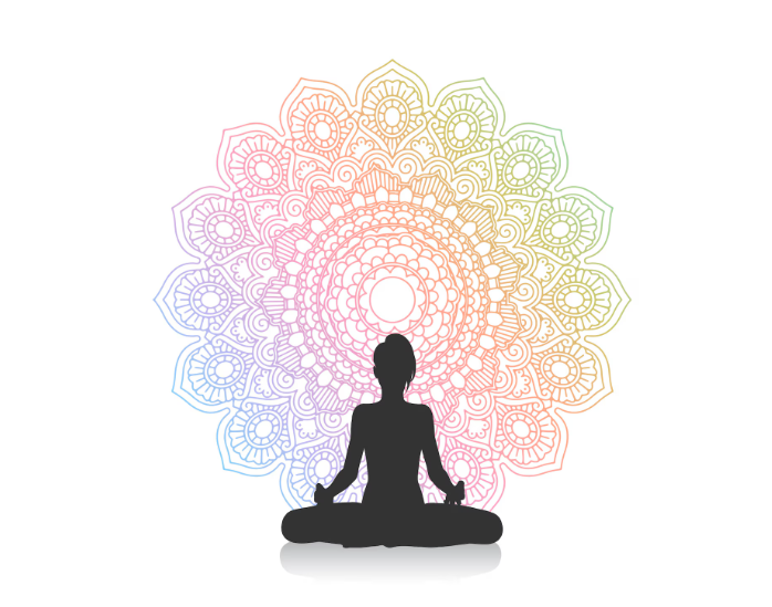 Yoga Training Courses